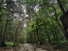 -冶父山国家森林公园
