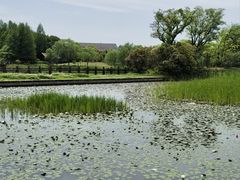 -苏州太湖国家湿地公园