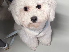 -博特宠物医院24h犬猫全科.骨科·异宠