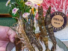 -喜聚薈·花膠雞海鮮火鍋(越秀店)