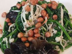 爽口菠菜-添福来墨鱼饺子 · 海鲜东北菜(大连星海·黄浦路店)