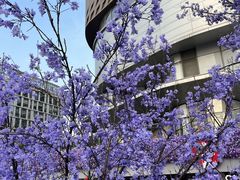 -龙湖南京江北天街