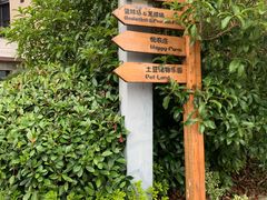 -上海崇明金茂凯悦酒店