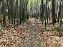 -宝岩生态观光园