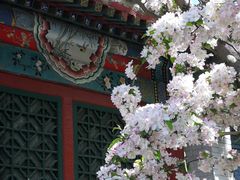 -海棠花溪(元大都城垣遗址公园)