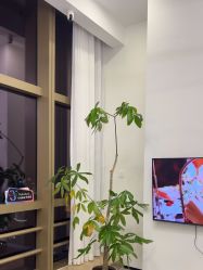 -JNK皮肤管理中心