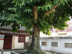 -徐悲鸿故居