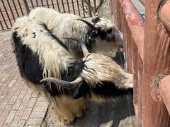 -无锡动物园·太湖欢乐园