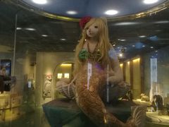 -成都泰迪熊博物馆