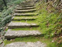 -上海佘山国家森林公园天马山园