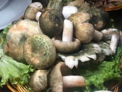-菌海森林·非遗野生菌火锅(西山区滇池路摩根道店)