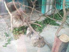 -无锡动物园·太湖欢乐园