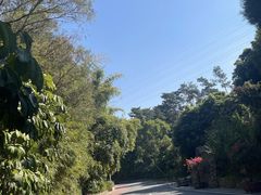 -仙岳公园