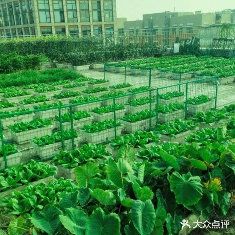 199元带娃畅玩一整天