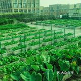 199元带娃畅玩一整天