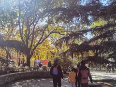 -国家植物园南园