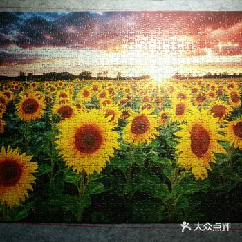 历时小半年，终于完工了~1000片真是个大工程