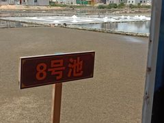 -盐洲岛