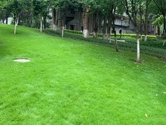 -重庆市江北嘴中央商务区中央公园