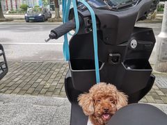-甄爱宠物医院(疏影路店)