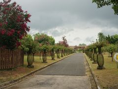 -东平国家森林公园
