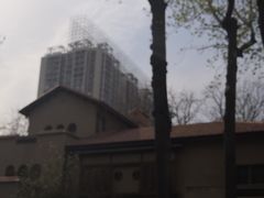 -静园(和平区)