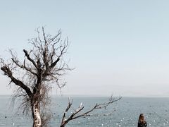 -大理无舍度假酒店