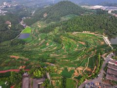 -乌石村