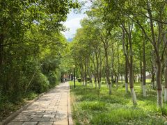 -黄河小浪底水利枢纽风景区