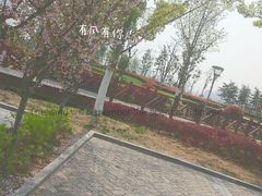 -滨湖塘西河公园