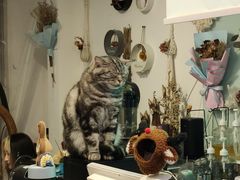 -平行世界·猫咖(首经贸店)