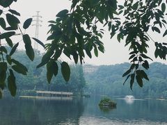 -重庆彩云湖湿地公园