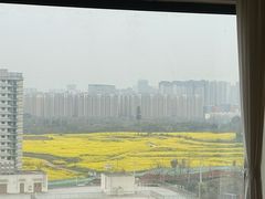 -白鹭湾湿地公园