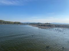 -野鸭湖国家湿地公园