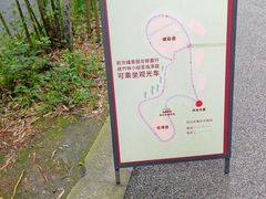 -都江堰中华大熊猫苑
