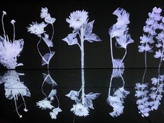 -时代美术馆-成都馆