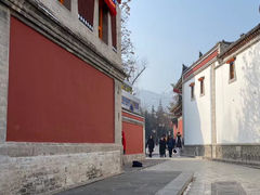-塔尔寺