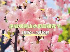 -观澜山水田园
