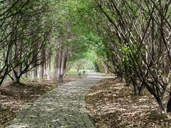 -苏州太湖国家湿地公园