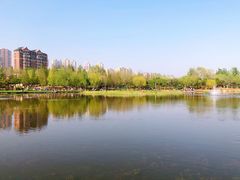 -前关湿地公园