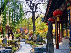 -白家大院·王府宫廷菜(苏州街店)