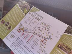 -野象谷景区