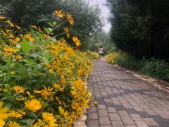 -东升八家郊野公园