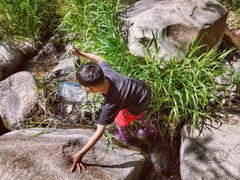 -碓臼峪自然风景区