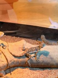 -酷嗒动物文化乐园(cutezoo西溪乐天城店)