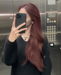 -蚂蚁造型俱乐部