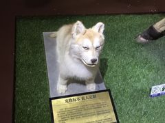 -金石蜡像馆