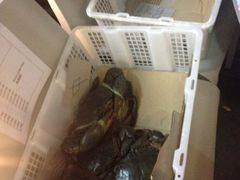 -龙海鲜螃蟹王(宏茂桥店)