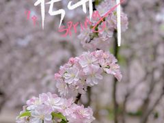 -海棠花溪(元大都城垣遗址公园)