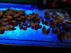 -科尔海悦酒店·柏顿花园餐厅(清河东路店)